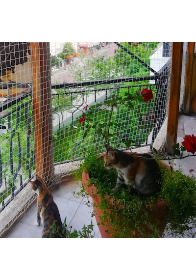 Morilu Kedi Filesi – 4 cm – 2.5 mm İp – Kedi Ağı – Kare Desen