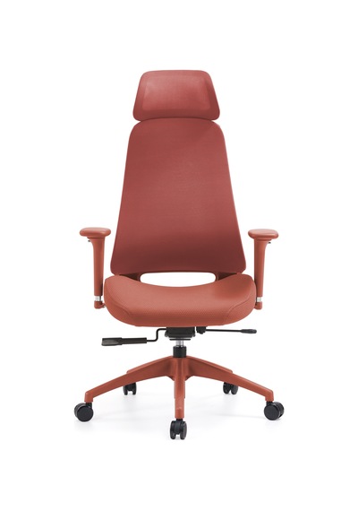 Karr Office Lizbon Ergonomik Çalışma Koltuğu