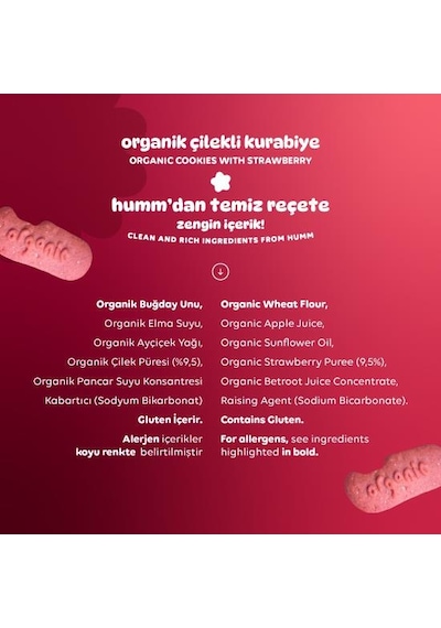 Organik Vegan Çilekli Kurabiye Atıştırmalık Paketi - 12 Adet 640 G