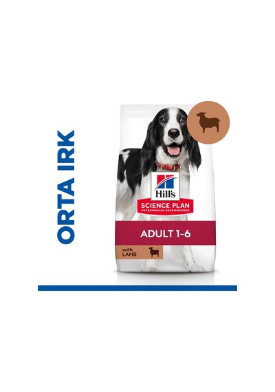 Hill's Science Plan Yetişkin Orta Irk Kuzulu Ve Pirinçli Köpek Maması 12+2 Kg
