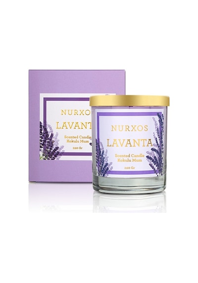 Nurxos 9686 Lavanta Kutulu 2 Adet Kokulu Mum + Freshener Oda Spreyi