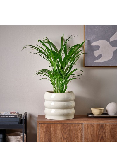 Ikea Hasselbukett Seramik Saksı 19 Cm Bej