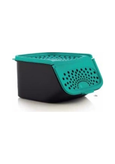Tupperware Midi Sarımsak Saklama Kabı Çok Renkli