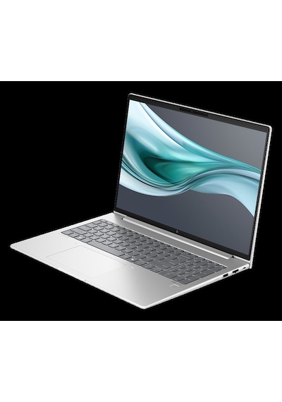 HP EliteBook 660 G11 D30N5ET504 Ultra 7 155U 16 GB 2 TB SSD 16" W11P Dizüstü Bilgisayar