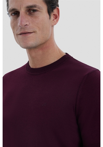 Sabri Özel Erkek Bordo Dar Kesim Slim Fit Viskon Triko Bisiklet Yaka Tişört