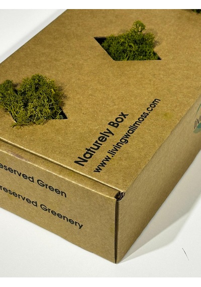Reindermoss Şoklanmış Norveç Yosunu Terarium Yosunu Midium Green 500 Gr.