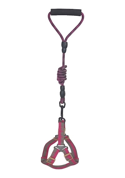 Köpek Göğüs Tasma Seti Dalga Desenli 2 Cm 40-58 Cm Mor-pembe Pembe