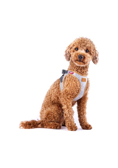 Alpine Curli Clasp Vest Harness Light Gray Xs