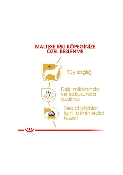 Royal Canin Maltese Terrier Yetişkin Köpek Maması 1500 G