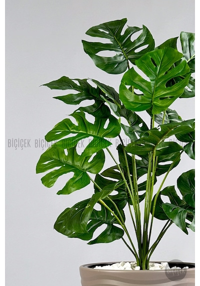 Biçiçek Yapay Monstera Deve Tabani Bi̇tki̇si̇ 130 Cm Mocha Kumsal Saksıda