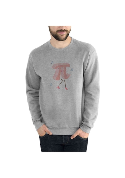 Pi Kadın Baskılı Gri Erkek Örme Sweatshirt