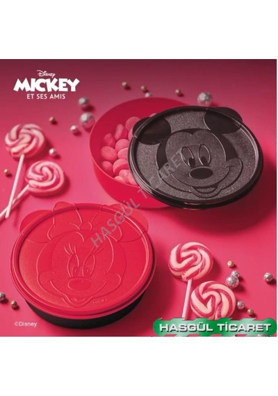 Tupperware Beslenme Kabı Minnie Mickey Saklama Kutusu Hsgl