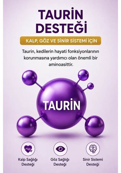 Tüy Dökülme Engelleyici, Tüy Yumağı Ve Kusma Önleyici Multivitamin Kedi Malt Macun 100 Gr