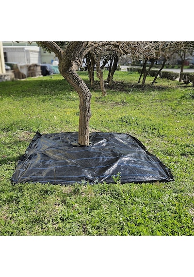 5x5 Metre Ağaç Koruma Örtüsü Ve Sabitleme Çivisi Yer Örtüsü Yabani Ot Engelleme Paspası Ağaç Dibi Bezi Sulzer Kumaş