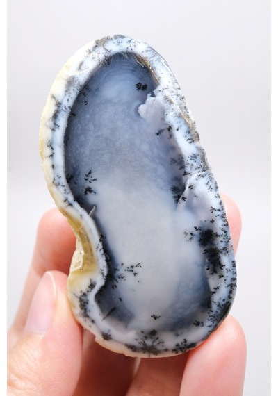 Mist Forest Dendritic Opal Deep Blue And Snowy White Merlinite Specimen