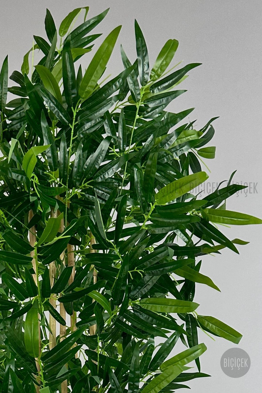 Biçiçek Yapay Bambu Ağacı 170 Cm 5 Gövdeli Krem Nergis Saksıda Jumbo Yapraklı