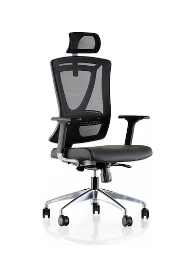 Dekofis Goldsit Ergonomik Yönetici Koltuğu