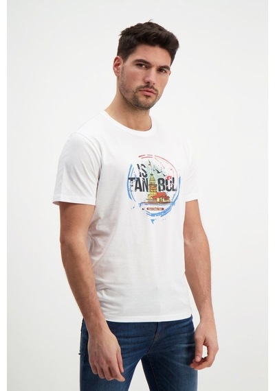 Rich Erkek Bisiklet Yaka Baskılı T-Shirt %100 Pamuk Tişört (481343962)