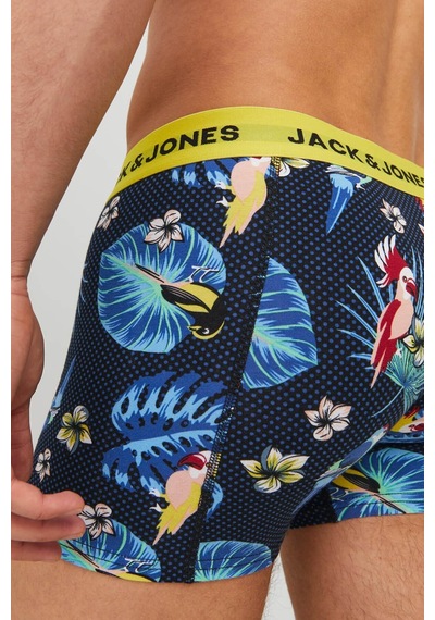 Jack & Jones Jack &Amp Jones Jacflower Bırd Trunks 3 P Mavi Erkek Boxer 000000000101561496