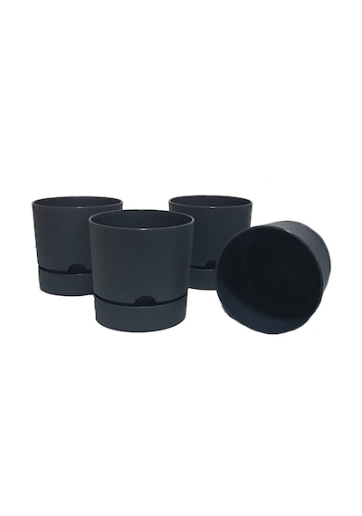 Poliwork 4 Lü Begonya 15 Cm Renkli Plastik Tabaklı Saksı