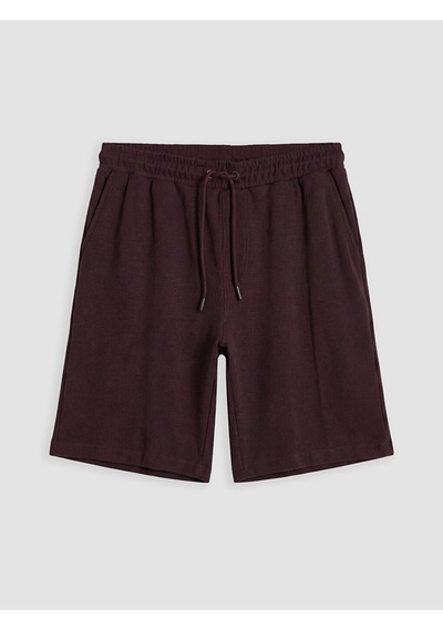 Lcwaıkıkı Classic Mürdüm Regular Fit Erkek Şort