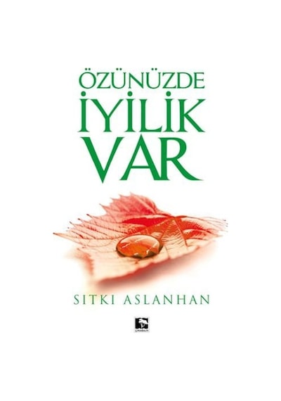 Özünüzde İyilik Var  - Sıtkı Aslanhan  - Çınaraltı Yayınları