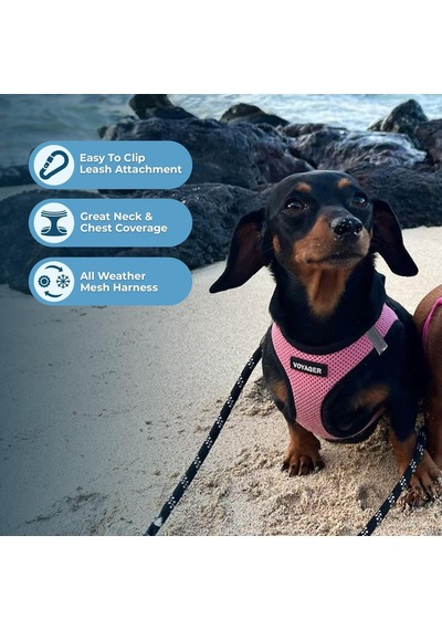 Voyager Step-in Air Köpek Tasması, Her Havada Kullanılabilen File, Yansıtıcı, Küçük, Orta Boy Köpekler, Kedile Genel