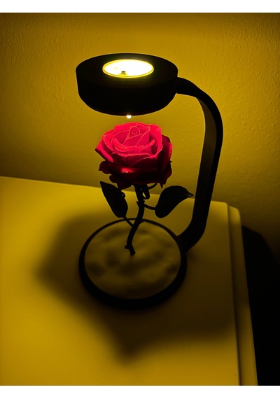 Moonlamp Kırmızı Gül Dekoratif Hediyelik Lamba