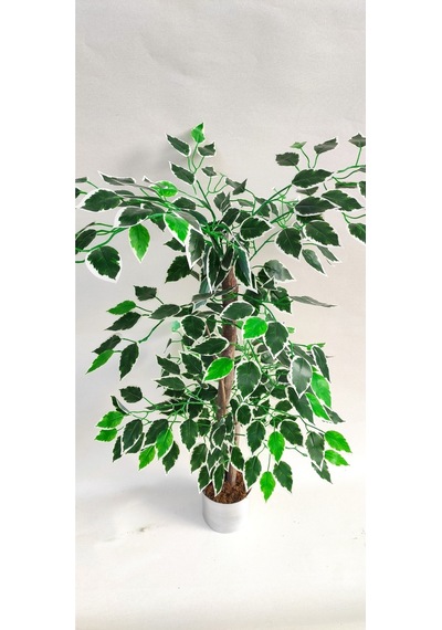 Rüzgar Yapay Çiçekçilik 90 Cm Ficus Ağacı Yeşil