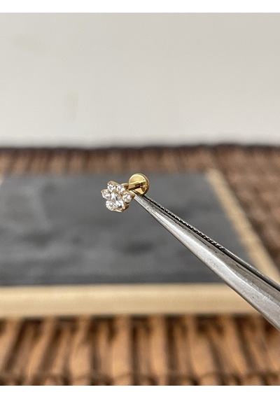 Yüksek Kalite G23 Titanium Pati Zirkon Altın Titanyum 6 X 1.2 MM Labret Piercing Altın