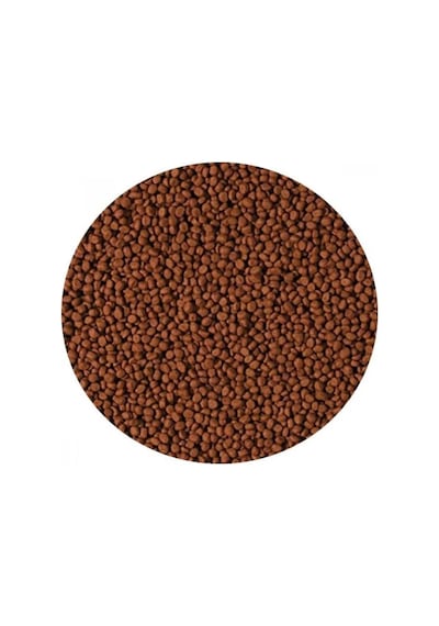 Tropical Cichlid Carnivore Small Pellet 250 ML
