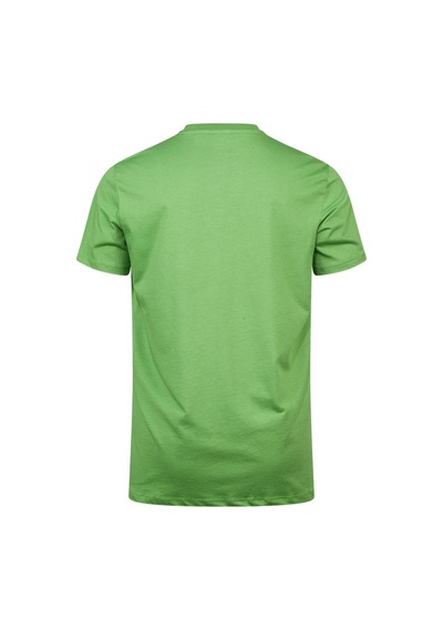2as Alex Baskılı Erkek Sıfır Yaka T-shirt 042 Yeşil