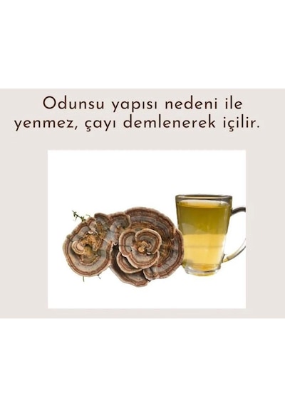 Şifa Hindikuyruğu Coriolus Versicolor 80 G