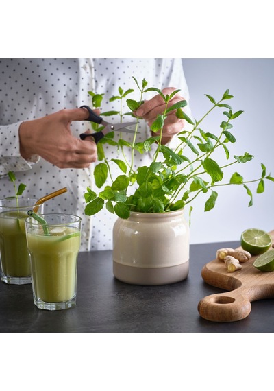 Ikea Brugdhaj Seramik Kavanoz 1 Lt Bej