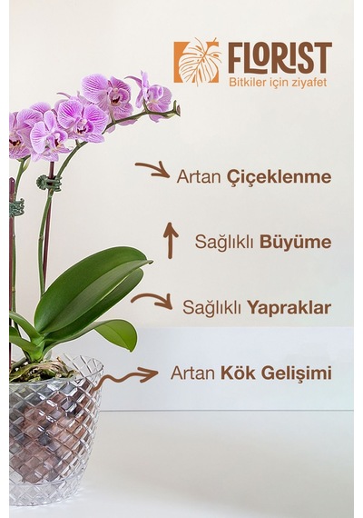 Florıst-orkide İçin Sıvı Bitki Besini Çiçeklenme Destekleyici & Kök Güçlendirici 200