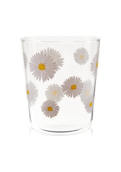 Raklee Fiona 4'lü Bardak Seti - Şeffaf - 315 Ml Renkli