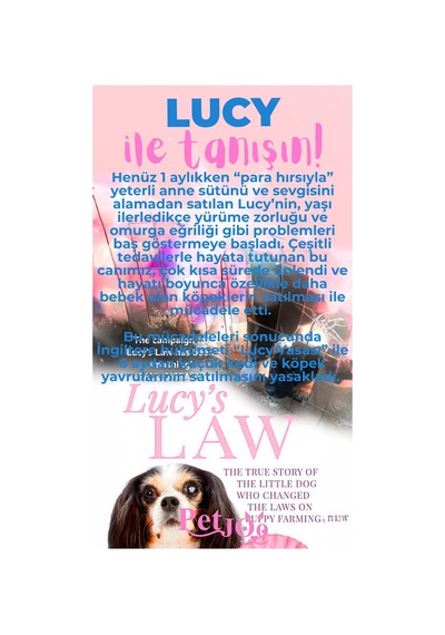 Petjoo 11.Lucy Pembe-Mavi Qr'lı Köpek Künyesi
