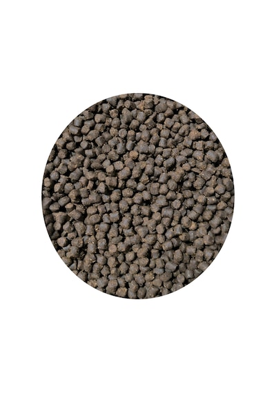 Hedyex 5nm Palet Yem 1kg Sazan Alabalık İçin Palet Yem