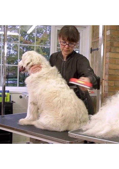 23 KG. Üzeri Uzun Tüylü Köpekler İçin Tüy Toplayıcı Ergonomik Tar