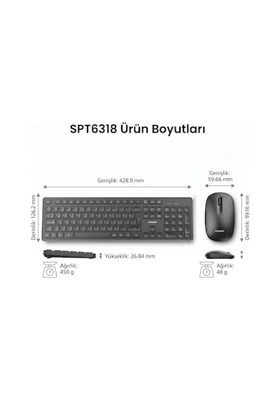 Philips SPT6318 Kablosuz Türkçe Q Klavye ve Mouse Seti Siyah