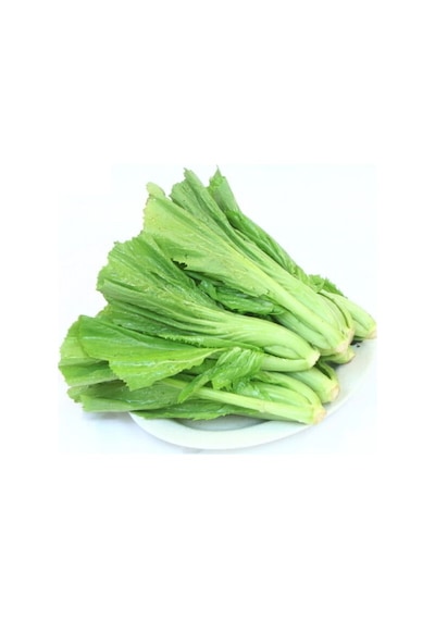 Çin Yaprak Lahana Choy Sum 25 Tohum + Tohum