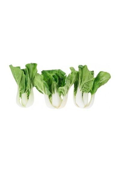 Nadir İthal Çin Lahanası Baby Pak Choi Tohumu Lahana Tohumu