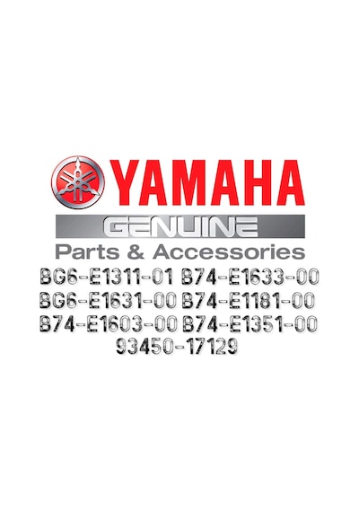 Yamaha Xmax 250 2018 Silindir Piston Seti