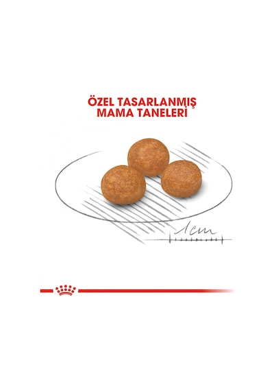Royal Canin Adult X-Small Küçük Irk Yetişkin Köpek Maması 1500 G