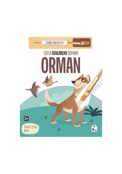 Suyla Rengarenk Boyama - Orman Sihirli Fırçasıyla