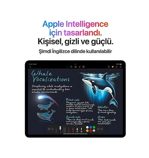 Apple iPad Air M3 MCJH4TU/A M3 8 GB 1 TB Wi-Fi + Cellular 13" Tablet