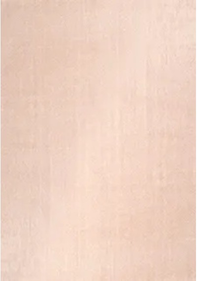 Youdayhomecollection Poly Peluş Model Halı 100x200 Çok Renkli Diğer 1bej