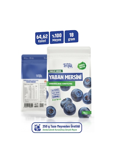 Dondurularak Kurutulmuş Yaban Mersini 18 G Freeze Dried Meyve Cipsi Çıtır Meyve Kurusu 3 Adet