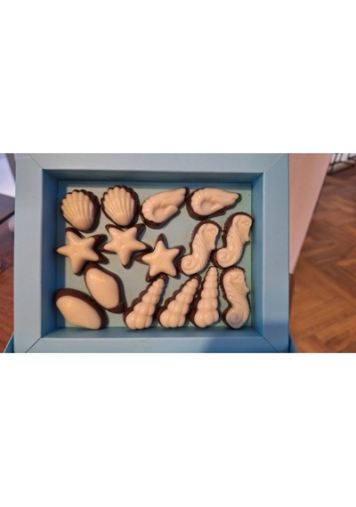 Deniz Ürünleri Spesiyal Hediyelik Çikolata 500 Gr