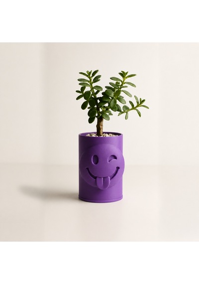 3d Baskı Emoji Planter - Göz Kırpan Yüzlü Sukulent Saksısı-mor Çok Renkli